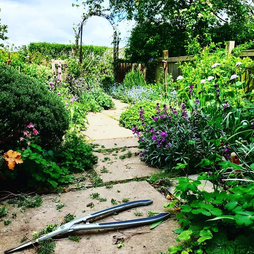 One-off gardening services in Maidstone