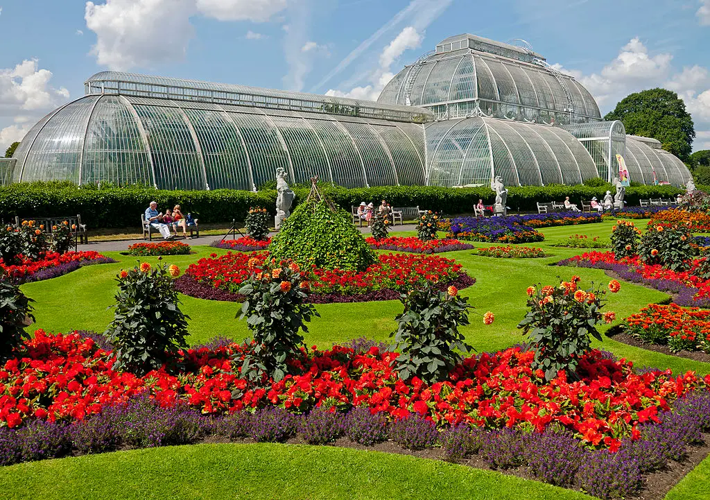 Flowers in front of the Palm House at Kew Gardens