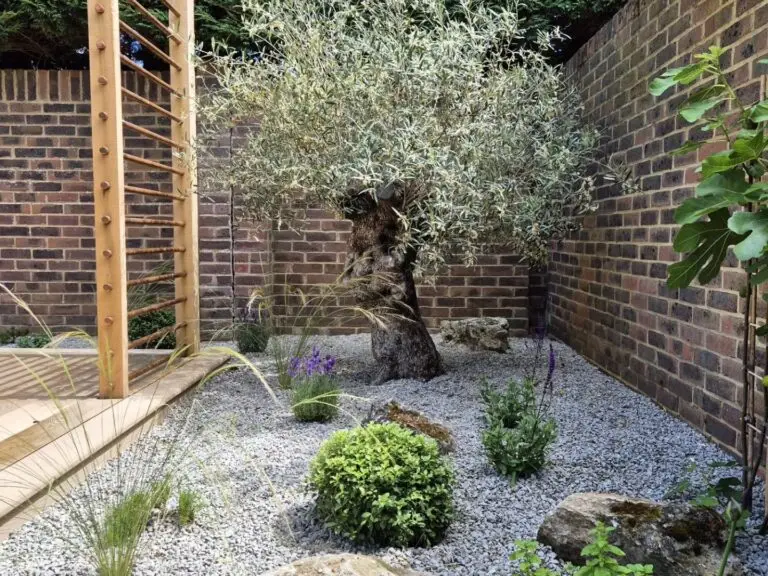 Contemporary pergola walkway over patio surrounded by layered planting in Maidstone garden