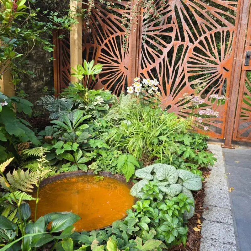 Maidstone Landscaping 4