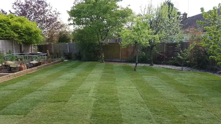 Lawn installation in Maidstone