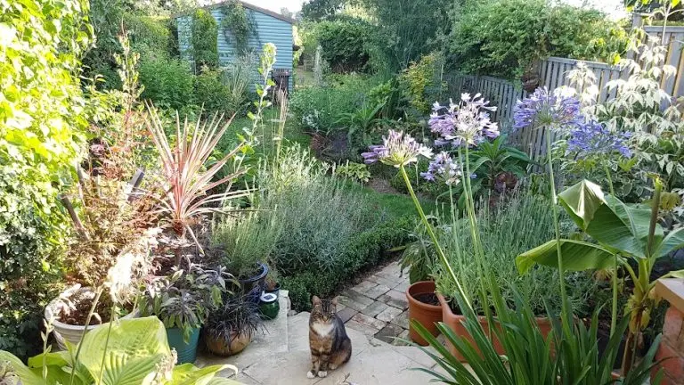 Maidstone Planting Soft Landscaping  929 X 523 34