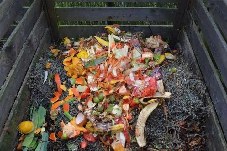 Compost at home to help fight climate change
