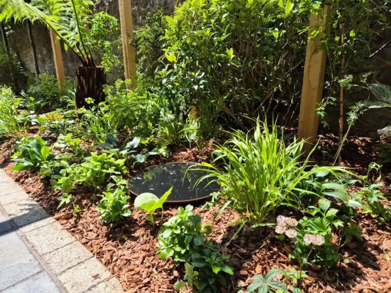 Layered garden design in Maidstone with stone pathway and vibrant planting