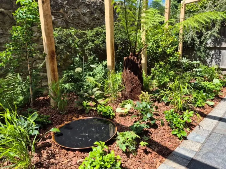 Layered planting with mix of shrubs and perennials around paved seating area in Maidstone garden