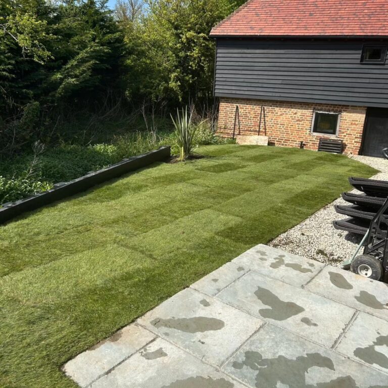 Freshly laid turf with sandstone paving beside a barn during a garden renovation in Lenham