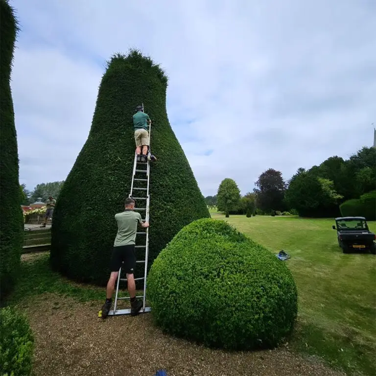 Soft landscaping on large estate