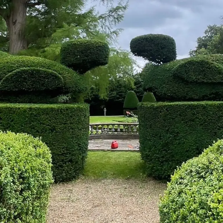 Soft landscaping on large estate